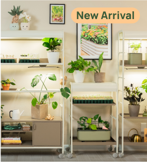 Indoor Gardening, This link will open in a new tab