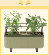 Herb Planter Gift $80