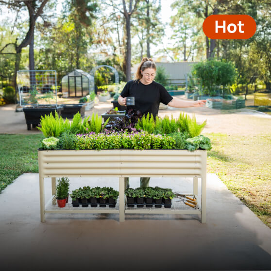 Elevated Garden Beds, This link will open in a new tab