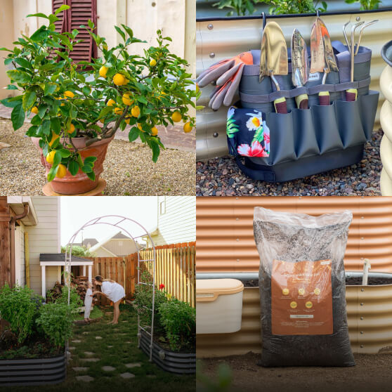 Garden Supplies, This link will open in a new tab