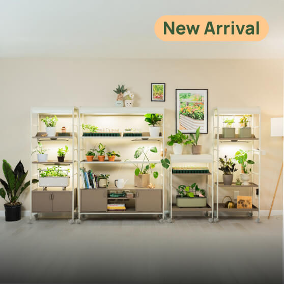 Indoor Gardening, This link will open in a new tab