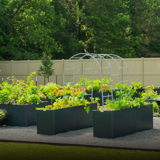 Modern Garden Beds, This link will open in a new tab