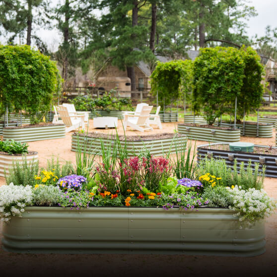 Novel Garden Beds, This link will open in a new tab