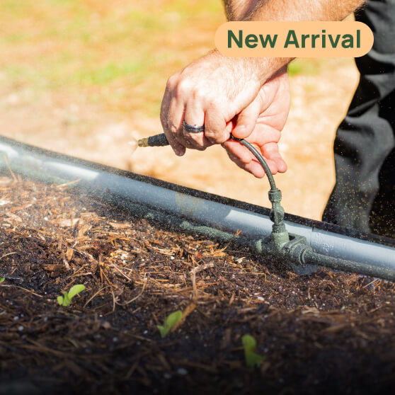 Watering, This link will open in a new tab