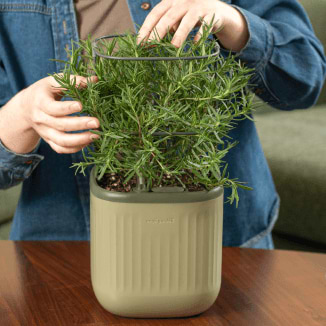 Photo Gallery Mini Image6 Desktop | Vego Garden