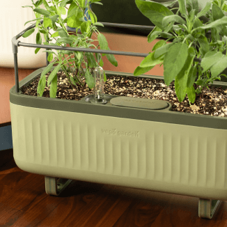 Photo Gallery Herb Image5 Desktop | Vego Garden