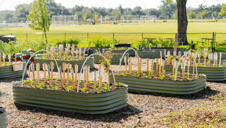 Vego Garden Image