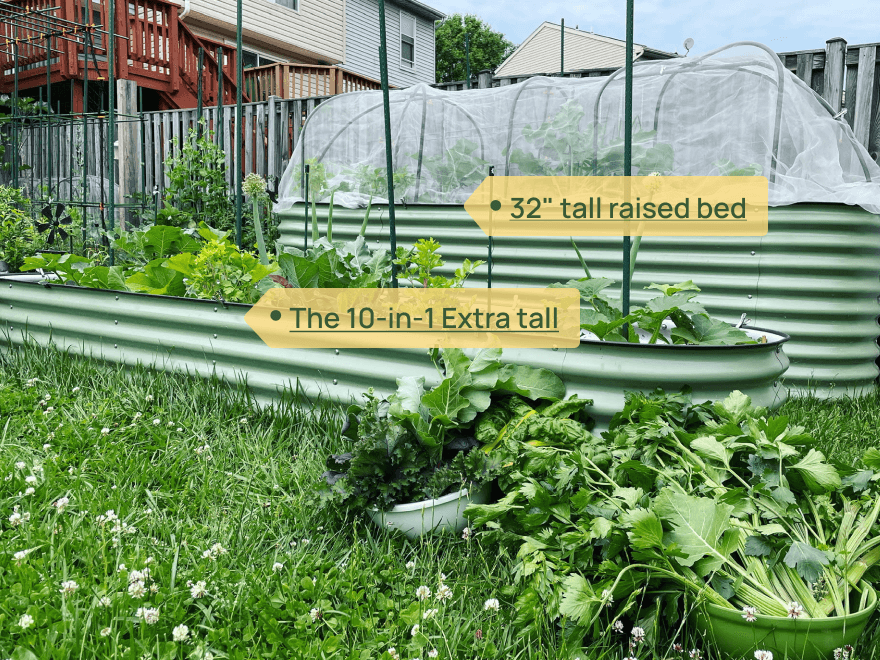 vego pro gardener Lannie