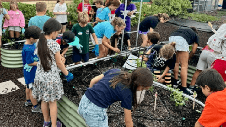 Vego Garden Image