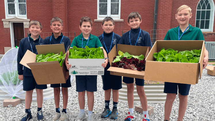 Vego Garden Image