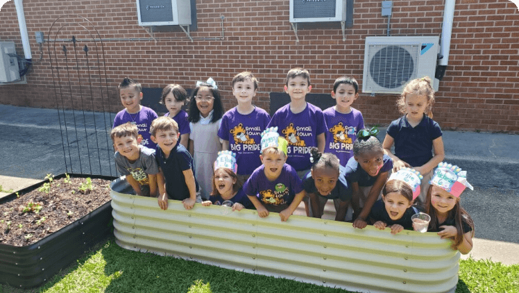 Vego Garden Image