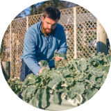 Vego Garden