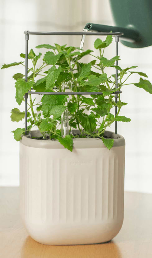 Photo Gallery Planter Wall Mount Kit Image2 Mobile | Vego Garden