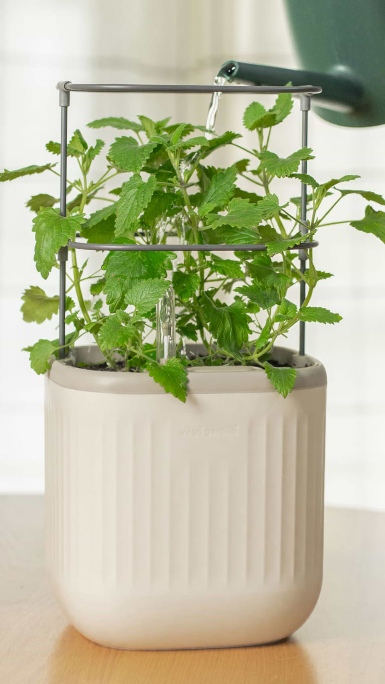 Photo Gallery Planter Wall Mount Kit Image4 Desktop | Vego Garden