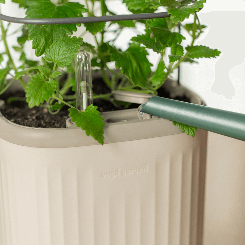 Photo Gallery Planter Wall Mount Kit Image4 Mobile | Vego Garden