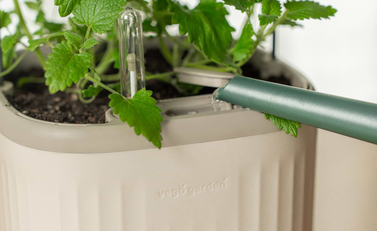 Photo Gallery Planter Wall Mount Kit Image2 Desktop | Vego Garden