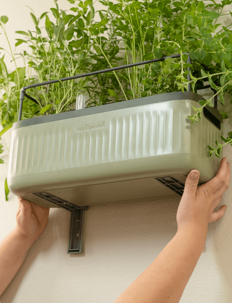 Photo Gallery Planter Wall Mount Kit Image1 Desktop | Vego Garden