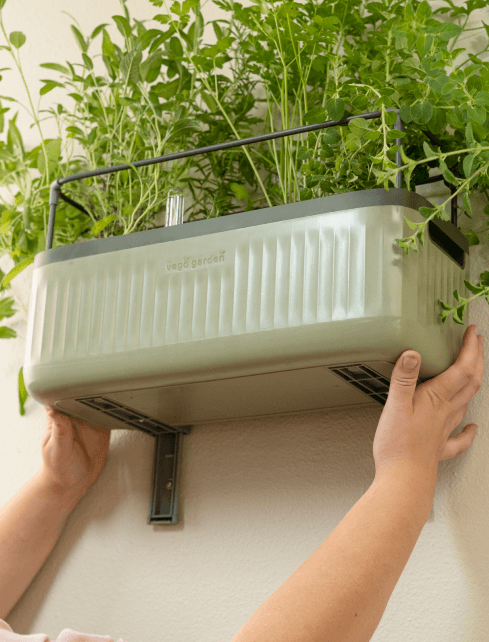 Photo Gallery Planter Wall Mount Kit Image3 Mobile | Vego Garden