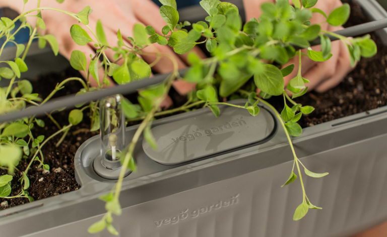 Photo Gallery Planter Wall Mount Kit Image6 Desktop | Vego Garden