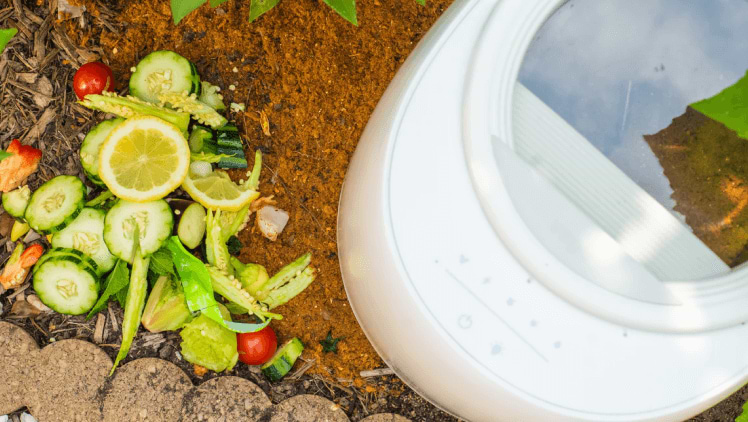 The Ultimate Guide to Secondary Composting: Using…