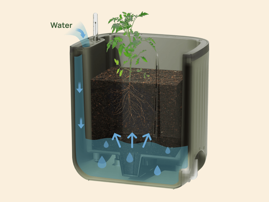 Efficient Watering
