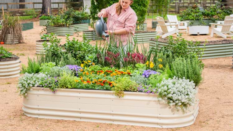 Elevate Your Garden