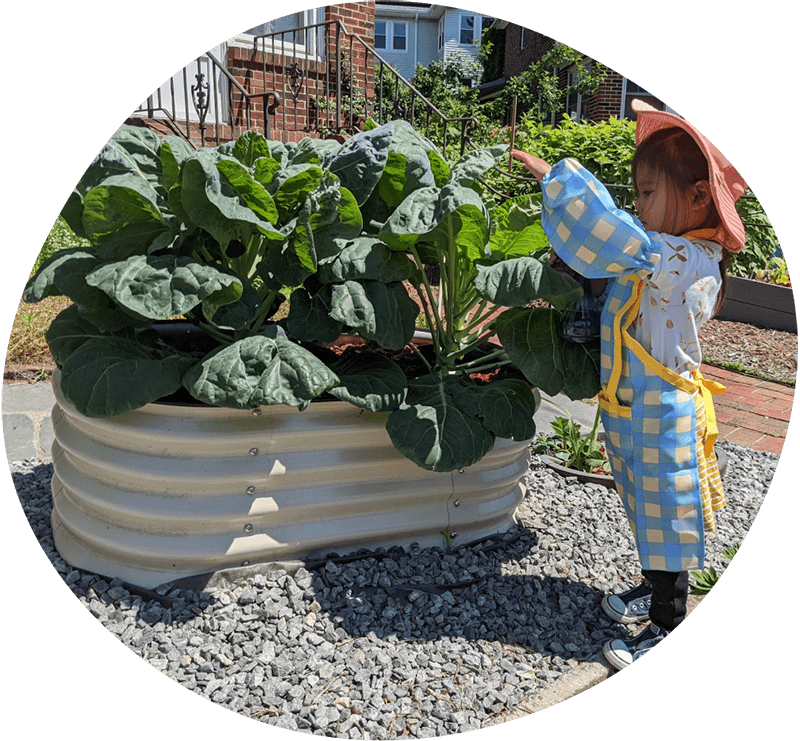 Child with Vego Garden Raised Garden Bed