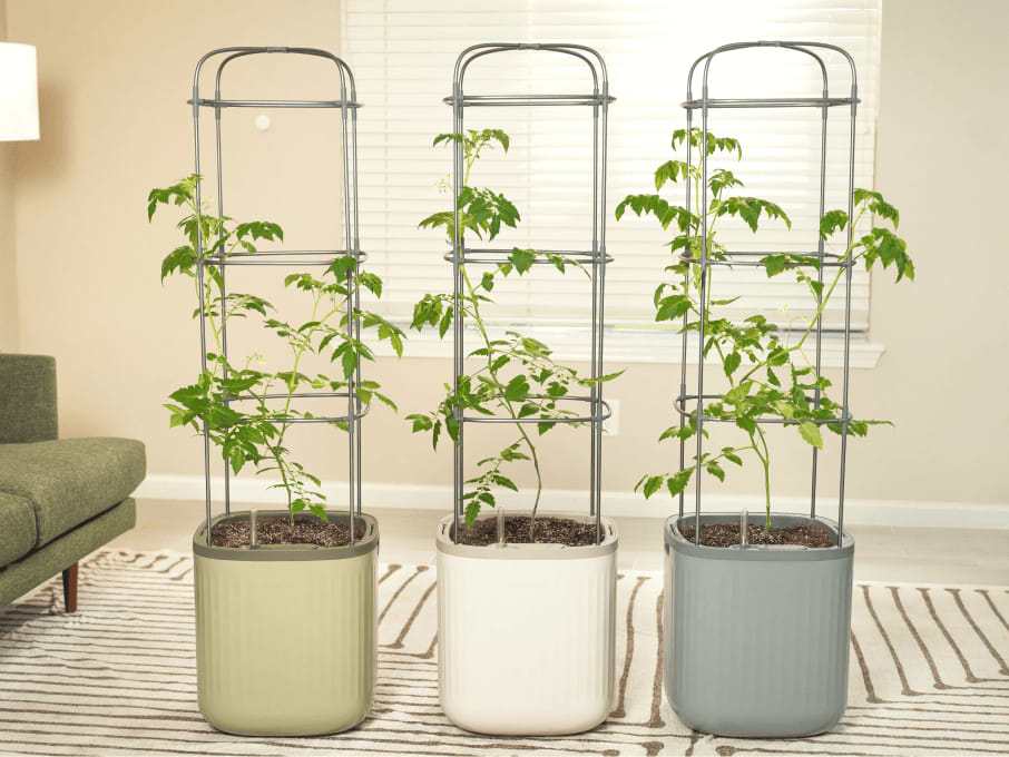 Vertical Gardening