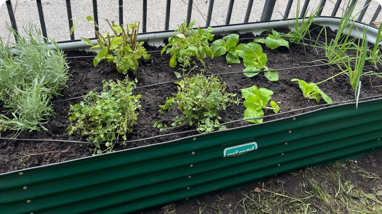 Edible Schoolyard New York City