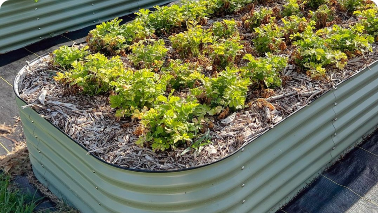 Highland's Giving Garden