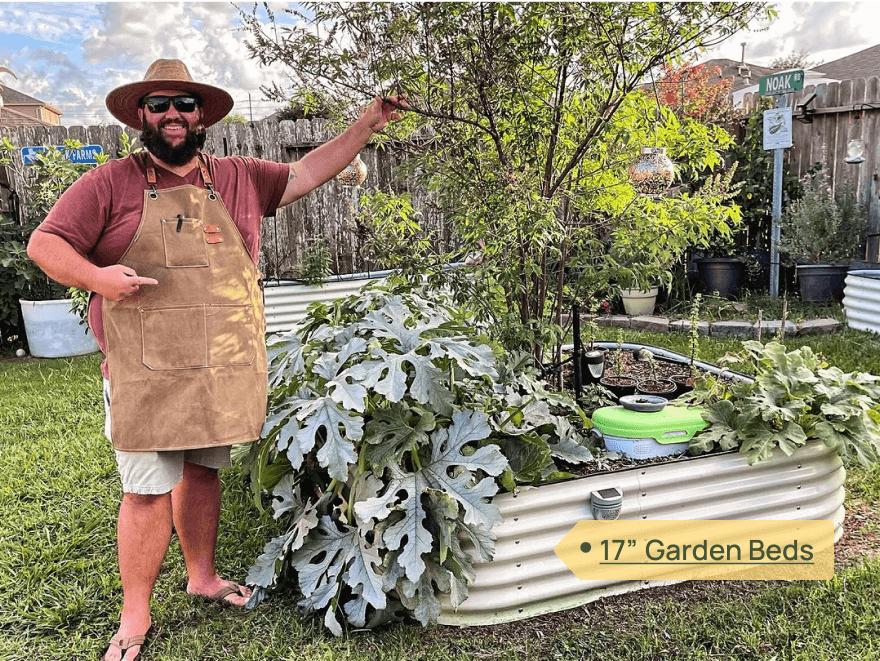 vego pro gardener Lannie
