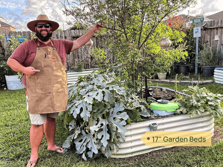 vego pro gardener Lannie