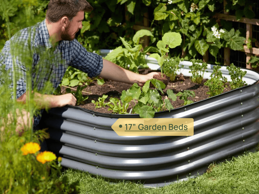 vego pro gardener Sandra