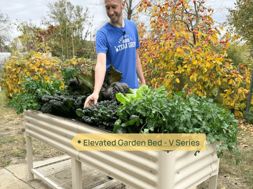 vego pro gardener Sandra