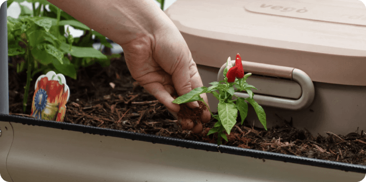 Nutrient-Packed Compost