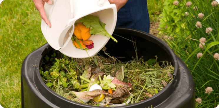  Eco-Friendly Waste Reduction