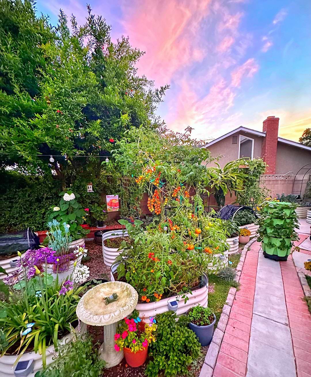 Vego Garden Image