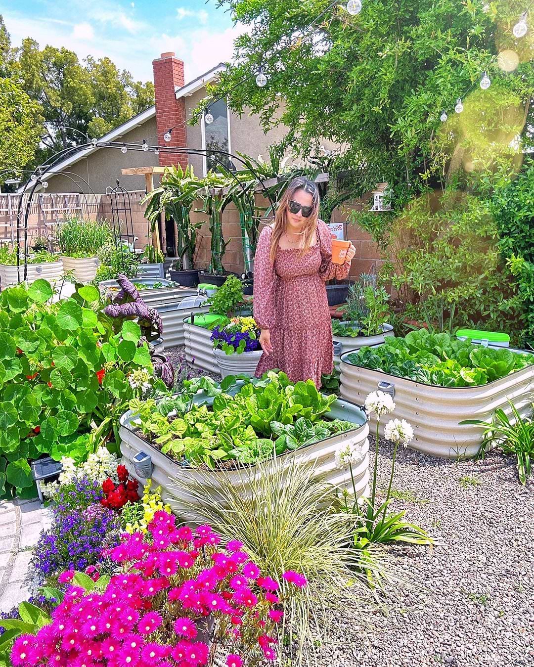 Vego Garden Image