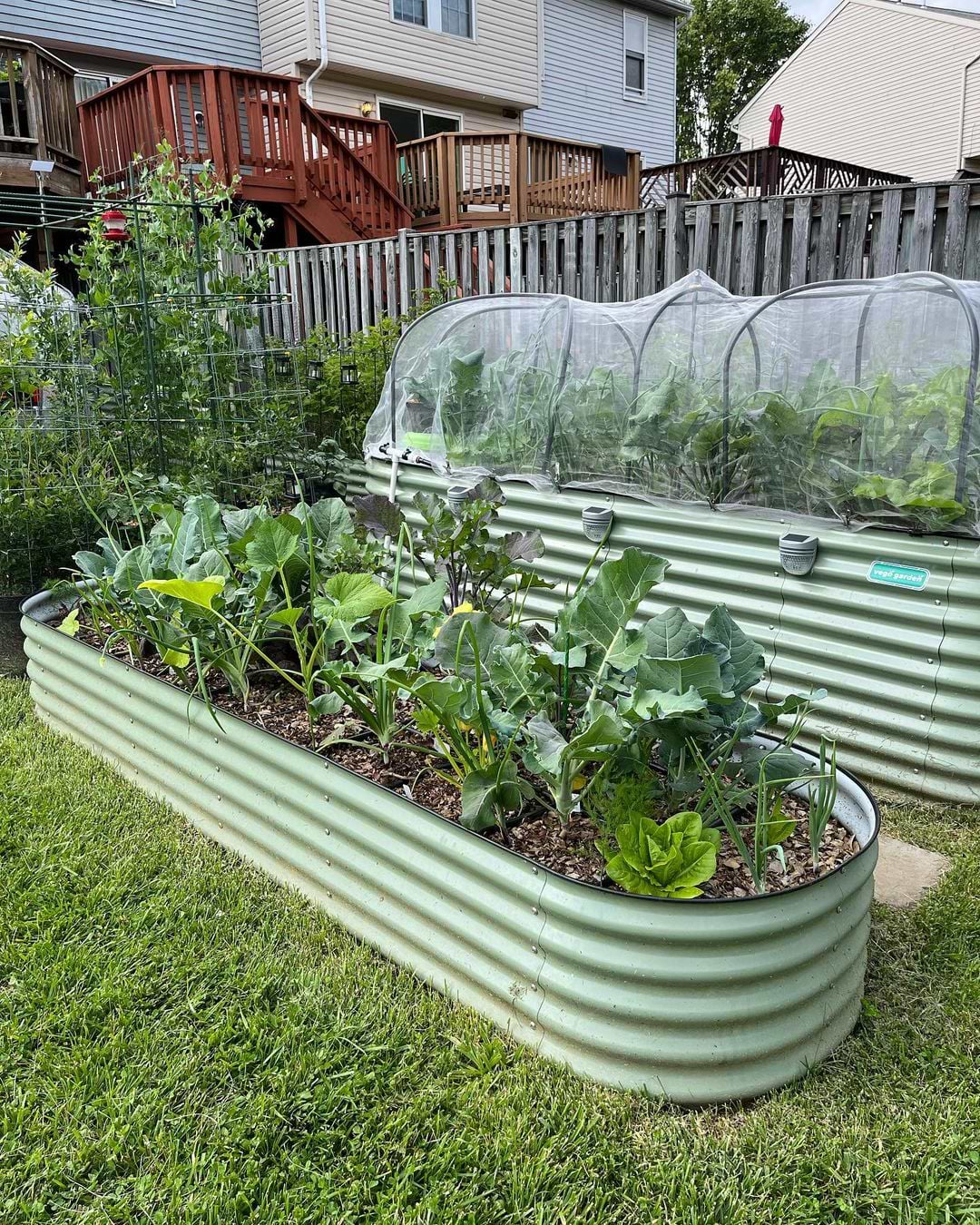 Vego Garden Image