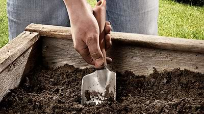 Winter Soil Prep: Revitalizing Your Garden Beds