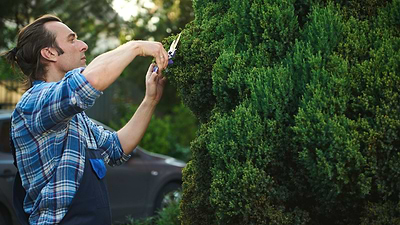 The Art of Winter Pruning: Caring for Fruit Trees