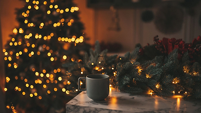 Seasonal Splendor: Christmas Plants and Flowers to Decorate Your Home