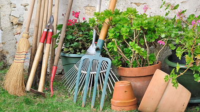 The Home Gardeners' Tool Kit: What Every Garden Kit Should Have