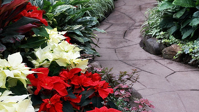 Spruce Up Your Outdoor Space: 10 Christmas Garden Decor Ideas