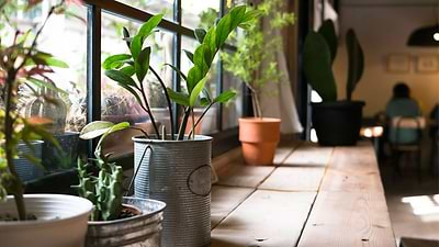 The Joy of Convenient Gardening: Indoor and Outdoor Planters