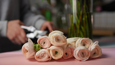 Top 12 Long-Lasting Cut Flowers