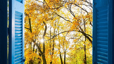 Transitioning from Summer to Fall: A Step-by-Step Guide