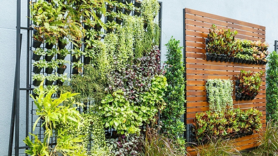 Vertical Gardening Ideas for Limited Space
