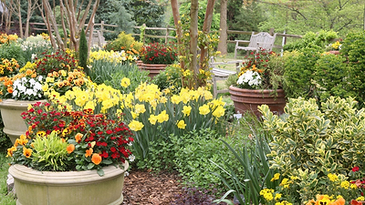 The Formula for a Gorgeous Container Garden: Thrillers, Fillers, and Spillers