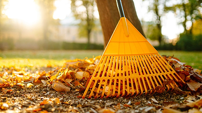 Your Fall Garden Checklist to Prepare for Spring